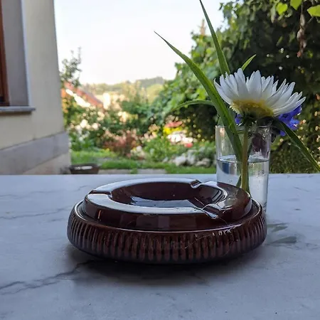 Apartment Iska